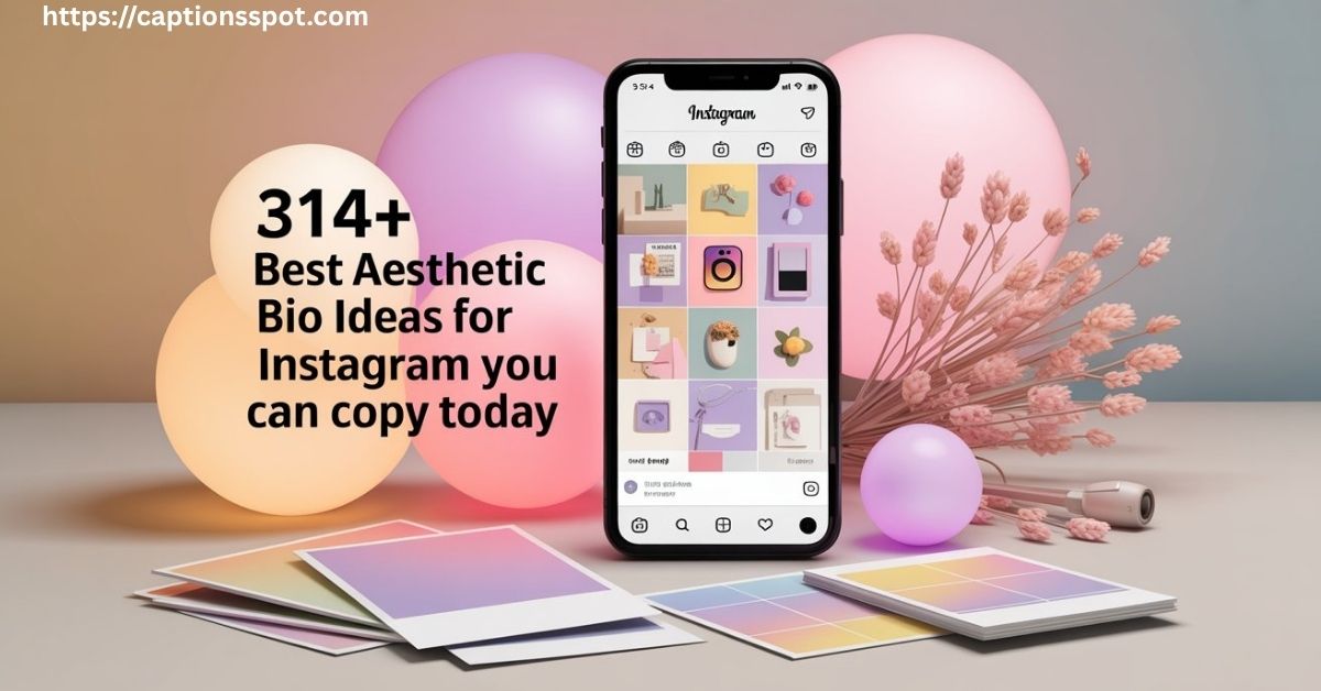 314+ Best Aesthetic Bio Featured Image