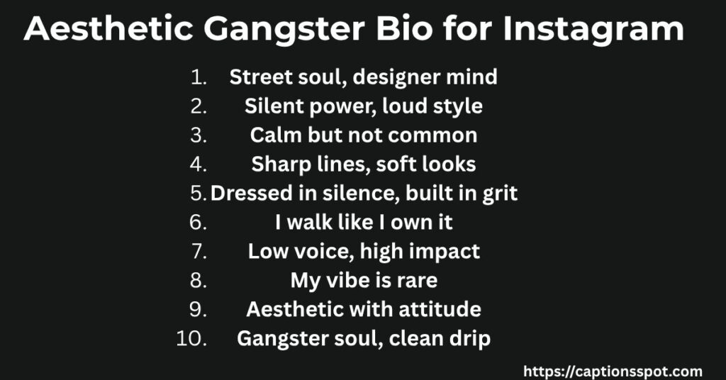 Aesthetic Gangster Bio for Instagram