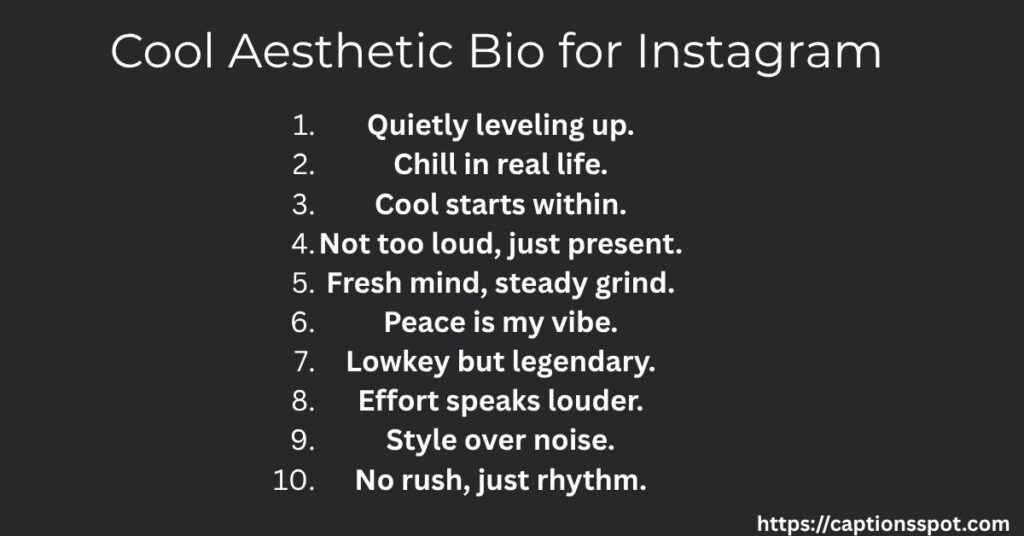 Cool Aesthetic Bio for Instagram
