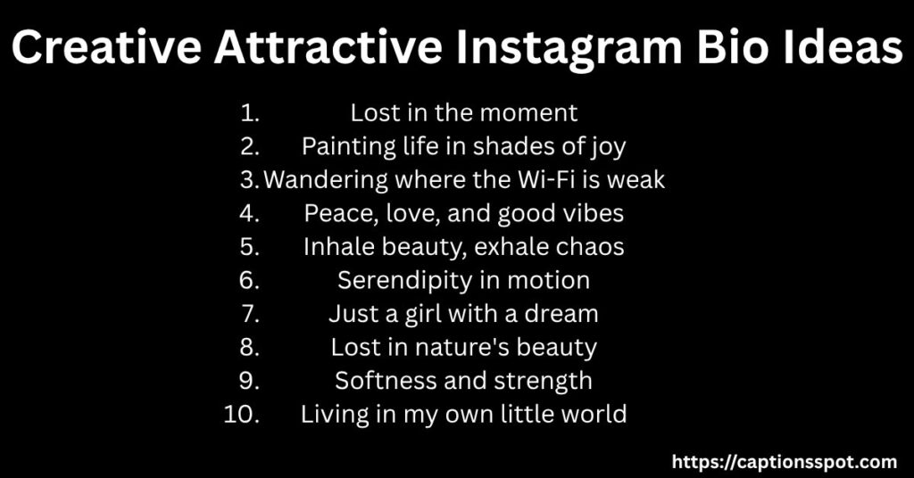 Creative Attractive Instagram Bio Ideas