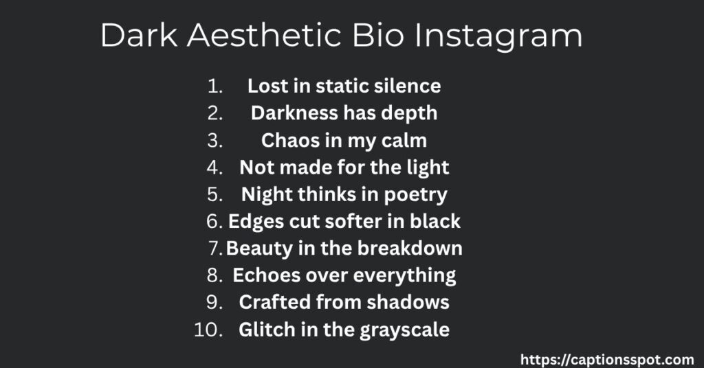 Dark Aesthetic Bio Instagram