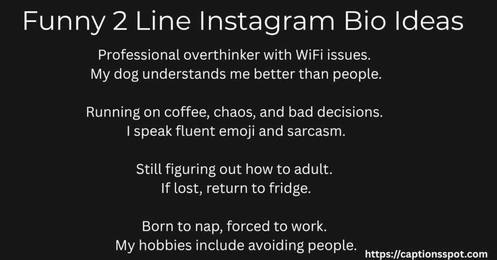 Funny 2 Line Instagram Bio Ideas