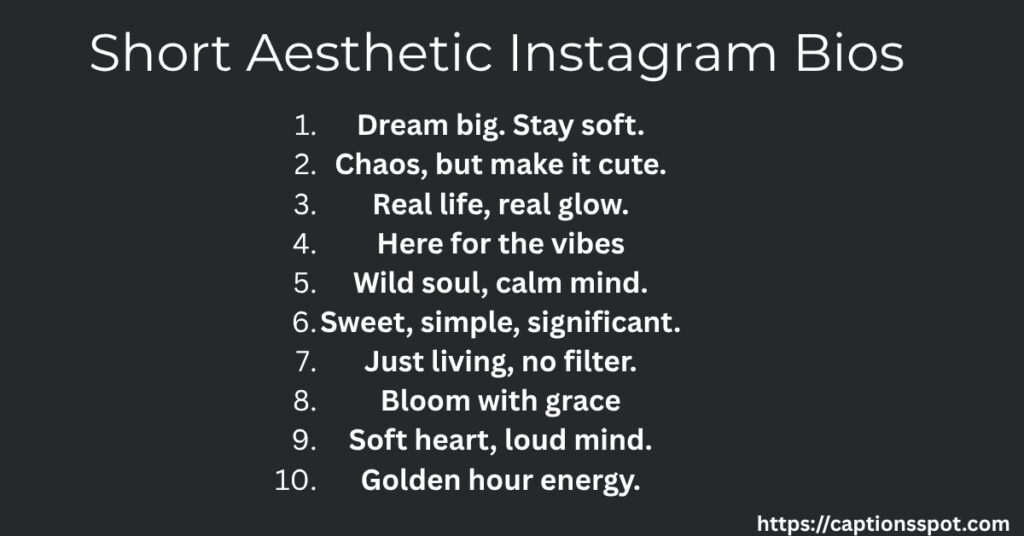 Short Aesthetic Instagram Bios