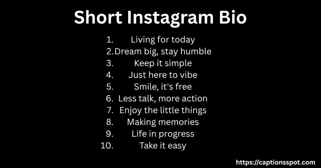 Short Instagram Bio