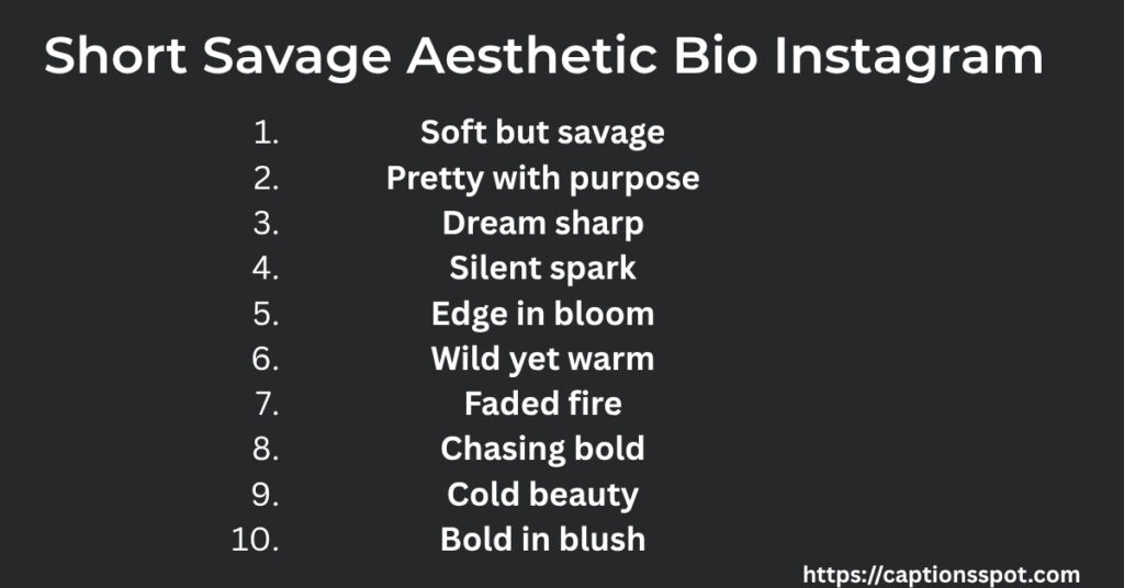Short Savage Aesthetic Bio Instagram