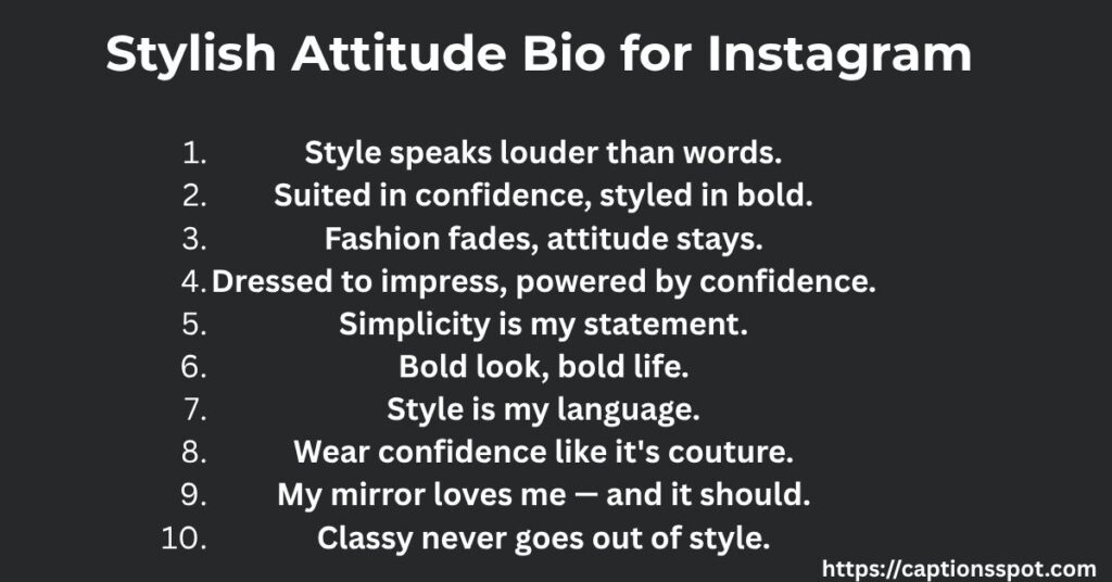 Stylish Attitude Bio for Instagram