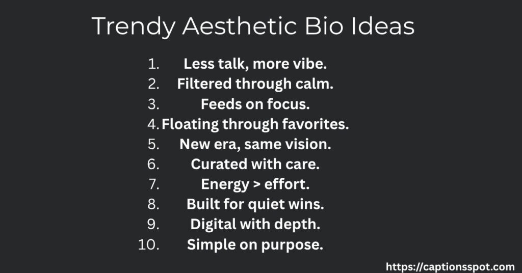 Trendy Aesthetic Bio Ideas